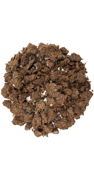 COSMOS FREEZE DRIED